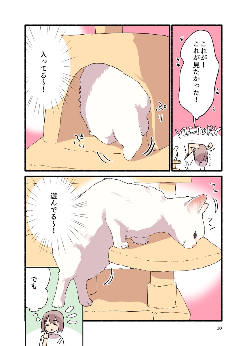 キャットタワーに勝った話(2/2) #漫画が読めるハッシュタグ