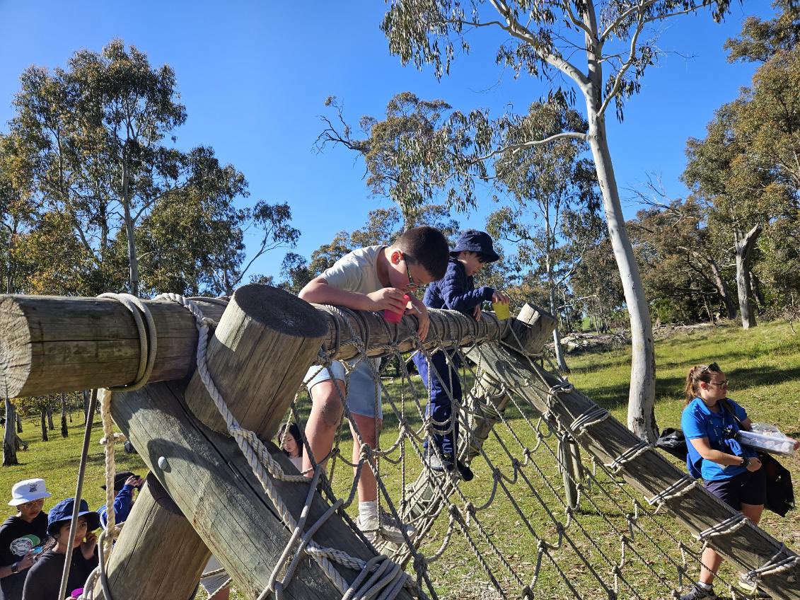 St Bridget's Primary School tweet media