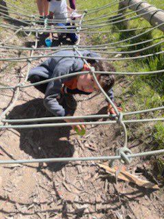 St Bridget's Primary School tweet media