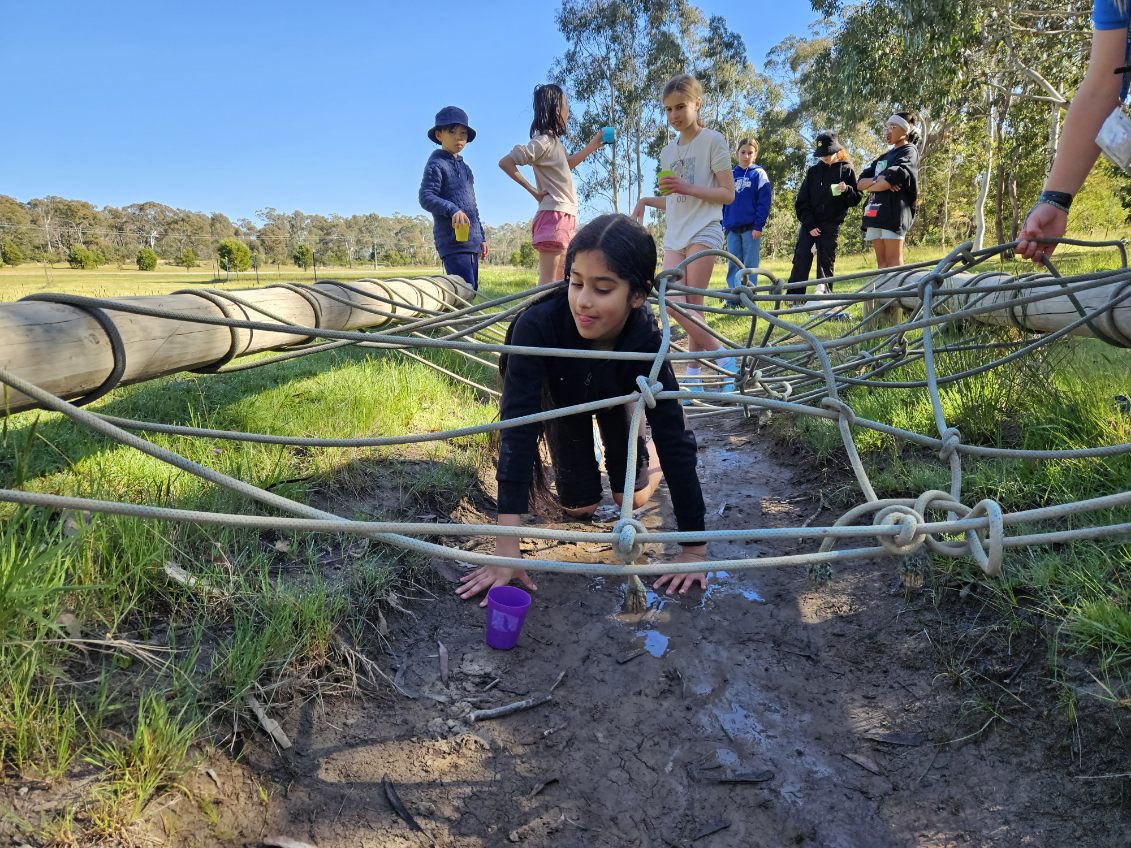 St Bridget's Primary School tweet media