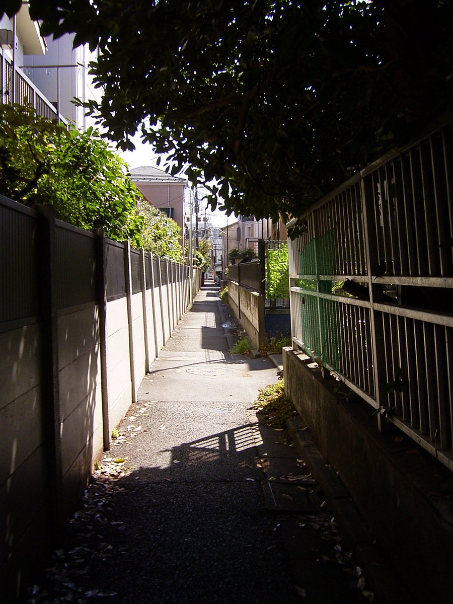 nogutomo's tweet photo. 古いコンデジが若い人の間で人気なのか、画質が悪いのがエモいって。Caplio RR30(2002年発売)は単三使えるのがいい。背面液晶がEVF用かと思うくらい小さいのもイイ。いろんな意味で転換のキッカケを作った思い出深いモデルなのでR。(写真はエモくない) #caplio #RR30 https://t.co/sRiShf6gmb