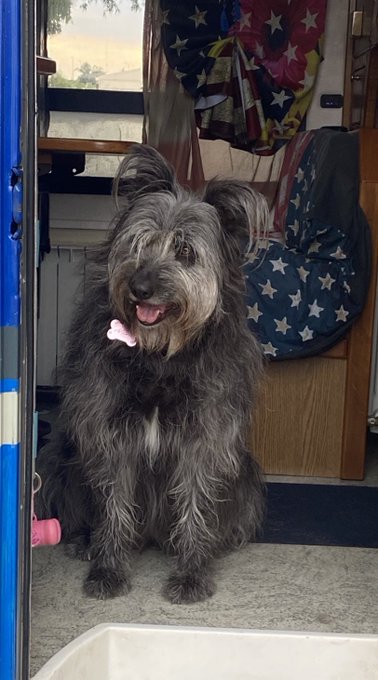 Bella foto vero? 😍😁la mia Bimba che adora viaggiare in camper😃 che purtroppo per via del mio forte  mal