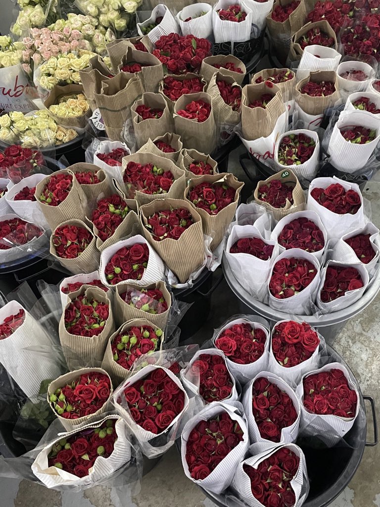 مُبهَم tweet media