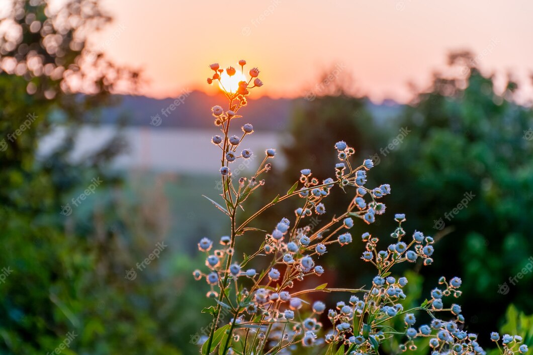 Ňishak💙Breezy｡✫˚ ⁀➷✽҉ ღ✶ tweet media