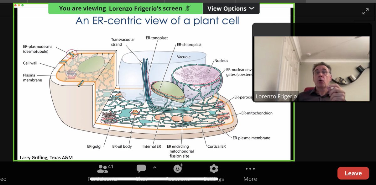 bhs_biodept's tweet image. Thanks to @RSBWestMids for organising this lecture from Professor Frigerio @uniofwarwick for #BiologyWeek . Fascinating to learn more about the current research into the ER and vacuoles of plant cells for our A level students and staff