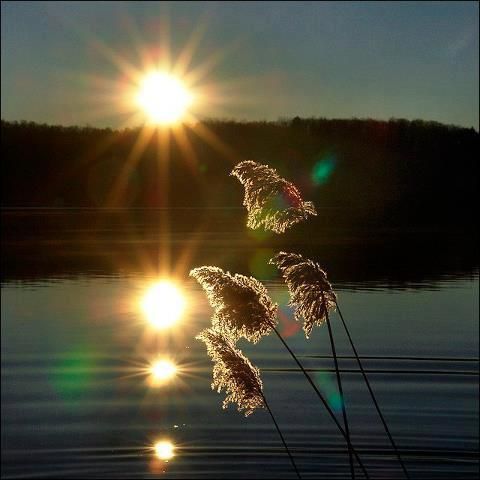 Ňishak💙Breezy｡✫˚ ⁀➷✽҉ ღ✶ tweet media