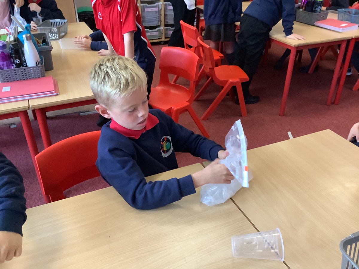 Year4_BDP tweet media