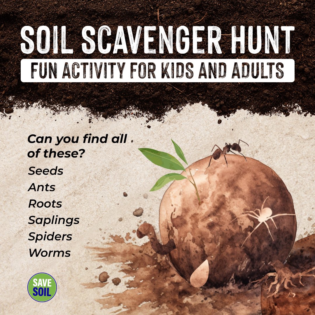 cpsavesoil's tweet photo. Discover the Hidden World Beneath Your Feet!

Beneath the surface lies a fascinating universe waiting to be explored. Soil is a vibrant mix of air, water, minerals, organic matter, and a multitude of creatures. It's a bustling hub of life, surpassing any other place on our planet! 

Let's turn this into an engaging activity! Parents, venture out into the garden or park with your children and embark on an Earth buddy scavenger hunt. The next time you're outdoors with your little ones, seek out a patch of soil and see if you can spot these treasures of nature. Take photos, tag @cpsavesoil and share your discoveries with us!

#SaveSoil #ConsciousPlanet