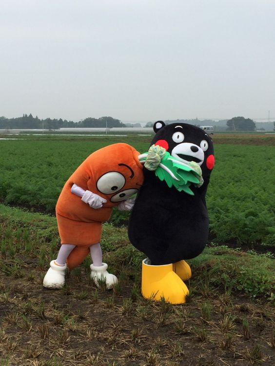 Kuma_coin (@Kuma_meme_) / Posts / X