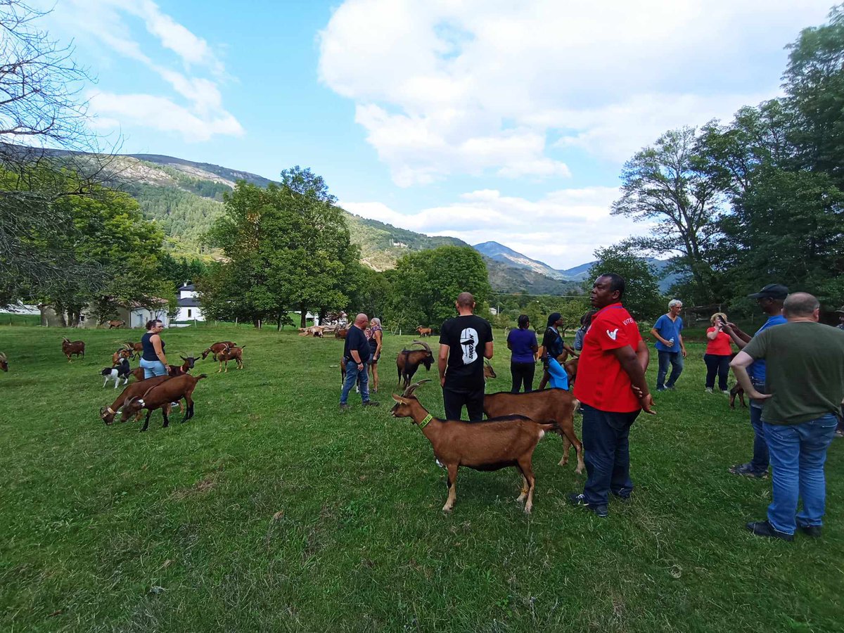 🔎 Dans le cadre de notre partenariat avec @assoaurore, une dizaine de personnes accompagnées par le foyer Cœur de Femmes et les Maraudes, ont pu passer plusieurs jours à la découverte de fermes de notre réseau. Des rencontres riches qui resteront dans les esprits !