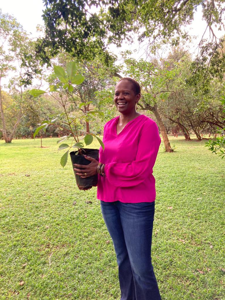 MathaiWanjira's tweet photo. LOVE spending time working in #Karura Forest - good for the planet and the soul 😊

“I think I shall never see, a poem as lovely as a tree”  

@WangariMaathai @restoreforward 
#reforestation #UrbanForest @GreenBeltMovmnt @karurafriends https://t.co/ASEDWzPHDc