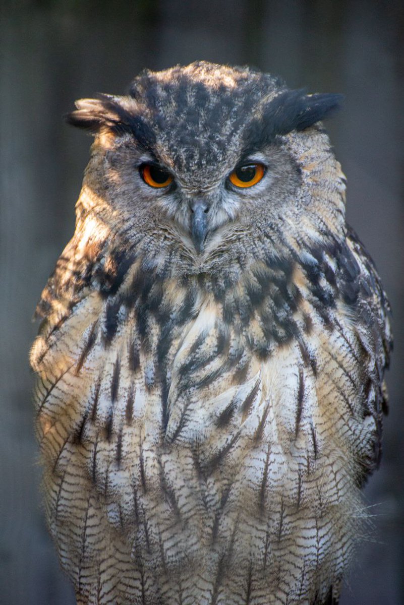 Livinteresting tweet media