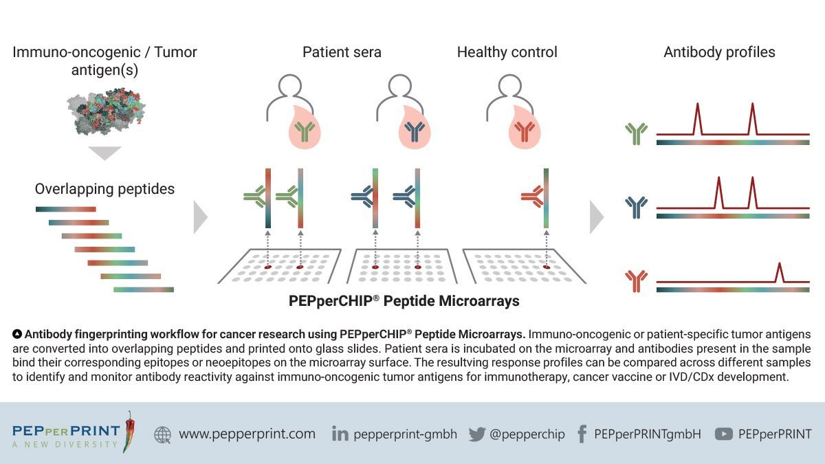 PEPperCHIP's tweet image. Translate #cancer mutations into personalized #peptidemicroarrays. The PEPperCHIP® Cancer Neoepitope Microarrays is a customized peptide microarray covering up to 5,500 peptides in duplicates for the personalized analysis of anti-tumor antibody responses: buff.ly/3FG7LFV