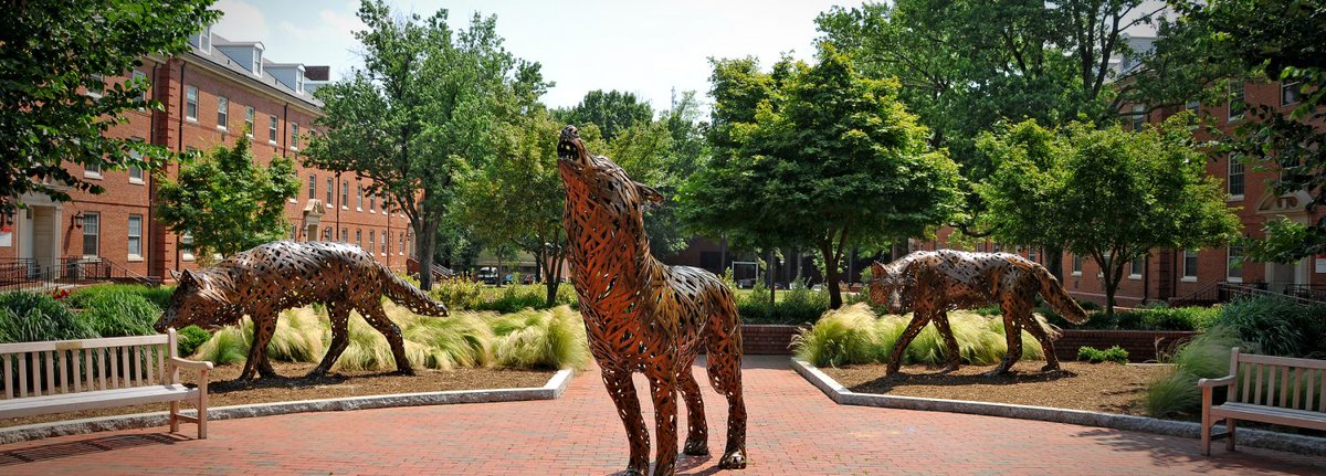 Dariush M. Heiranian (@mosi_jon) on Twitter photo (1/2) I am looking for highly-motivated PhD students to join our lab <a href="/NCState/">NC State University</a> <a href="/ncstatemae/">NC State MAE</a> in Fall 2024. We will compute for materials design in separation processes with applications in energy and environment. For more information about the openings visit heiranian.com/positions (1/2) I am looking for highly-motivated PhD students to join our lab <a href="/NCState/">NC State University</a> <a href="/ncstatemae/">NC State MAE</a> in Fall 2024. We will compute for materials design in separation processes with applications in energy and environment. For more information about the openings visit heiranian.com/positions