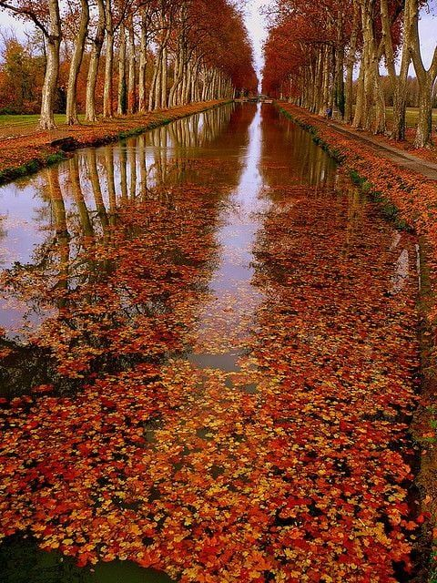 🇵🇰 Nazar Abbas🇷🇺 tweet media