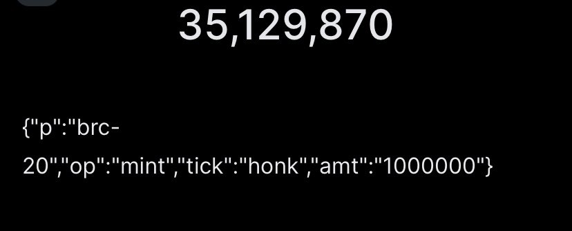 SHittoshii's tweet image. I'm more excited than ever for the Ordinals. 
I want to share this with you 5,000,000 #honk 
1 x @Bitcoin_Whales_ 
 I'm doing a raffle 
Follow 
Like &amp;amp; Rt  
 48 hours 
2 people will win 
Good luck
#ordinals 
#BRC20 
#Giveaway