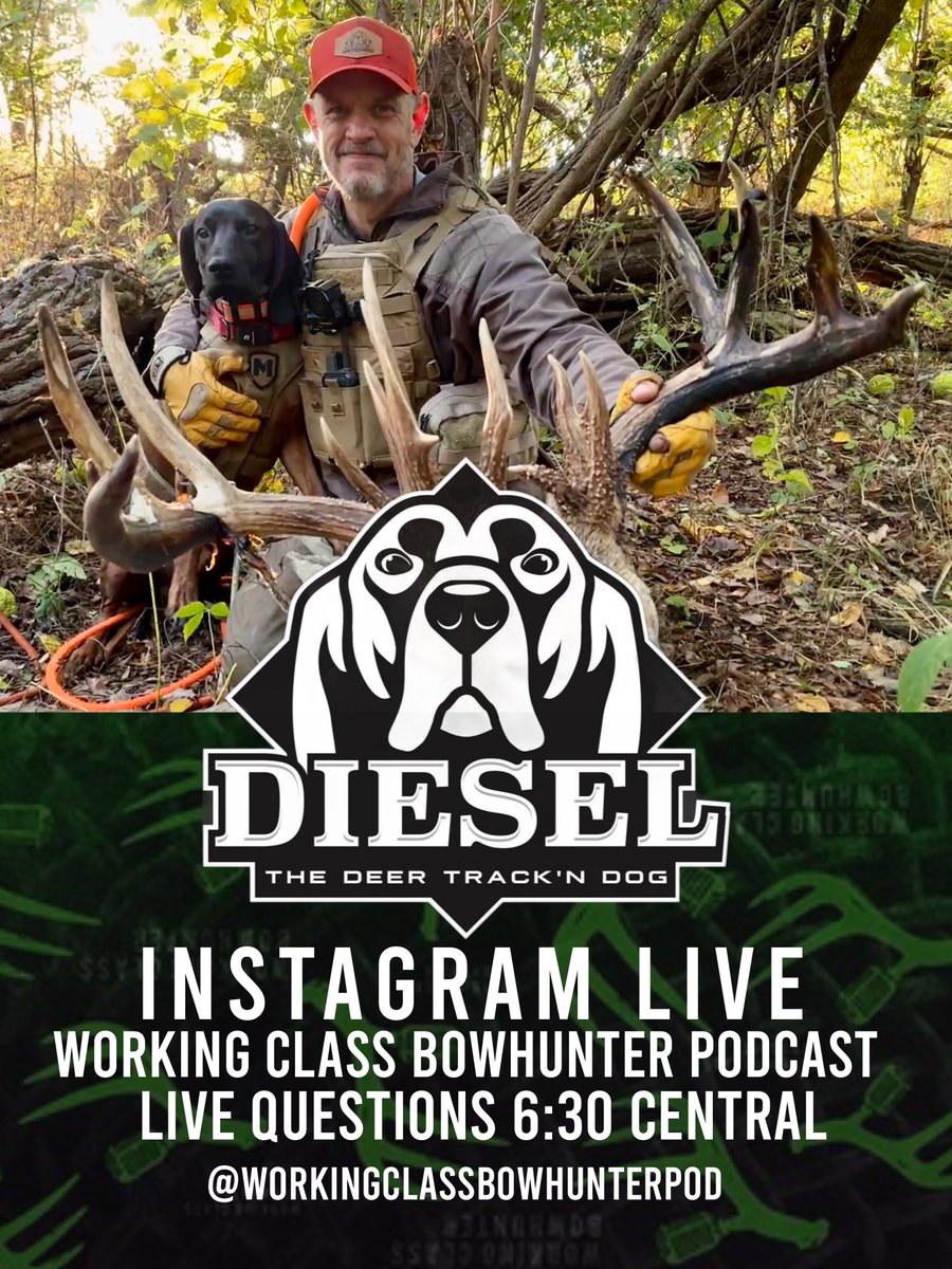 WrkingClassBowhunter (@wcbowhunter) on Twitter photo 