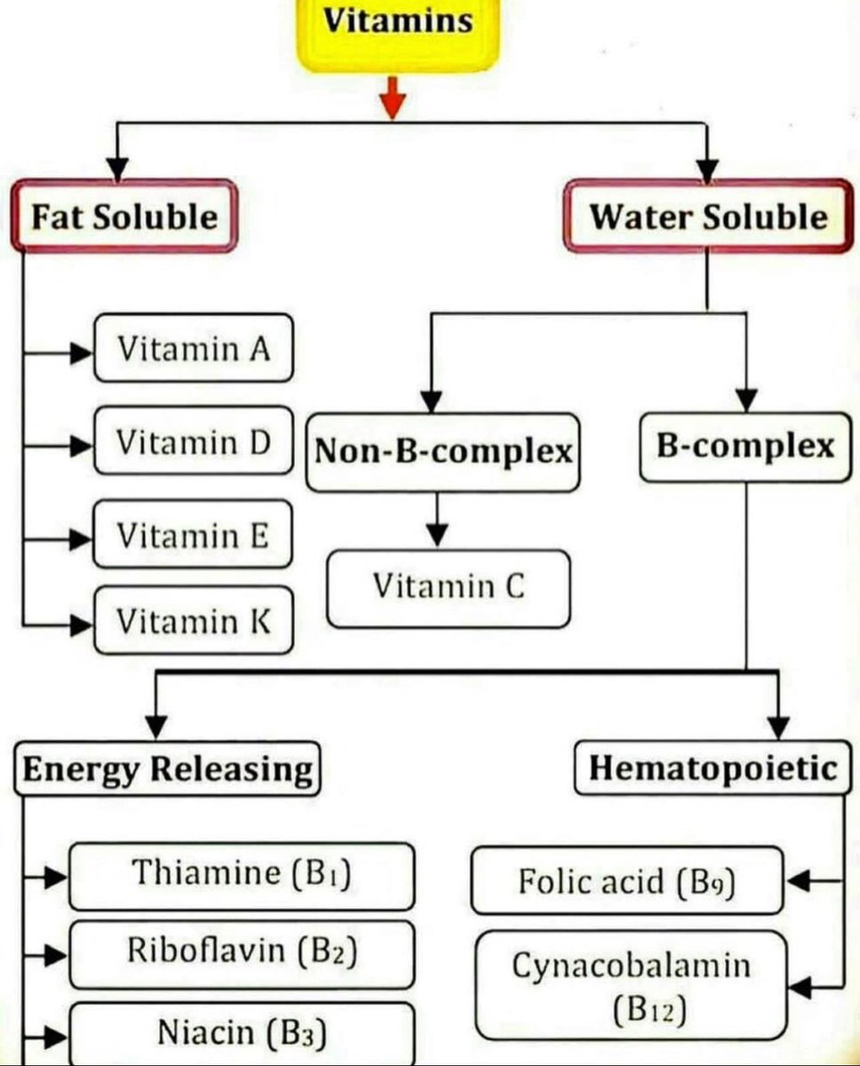 🙋‍♂️Excellent Overview of Vitamins 
#MedEd #FOAMed #MedTwitter 
#nutrition #dietitian