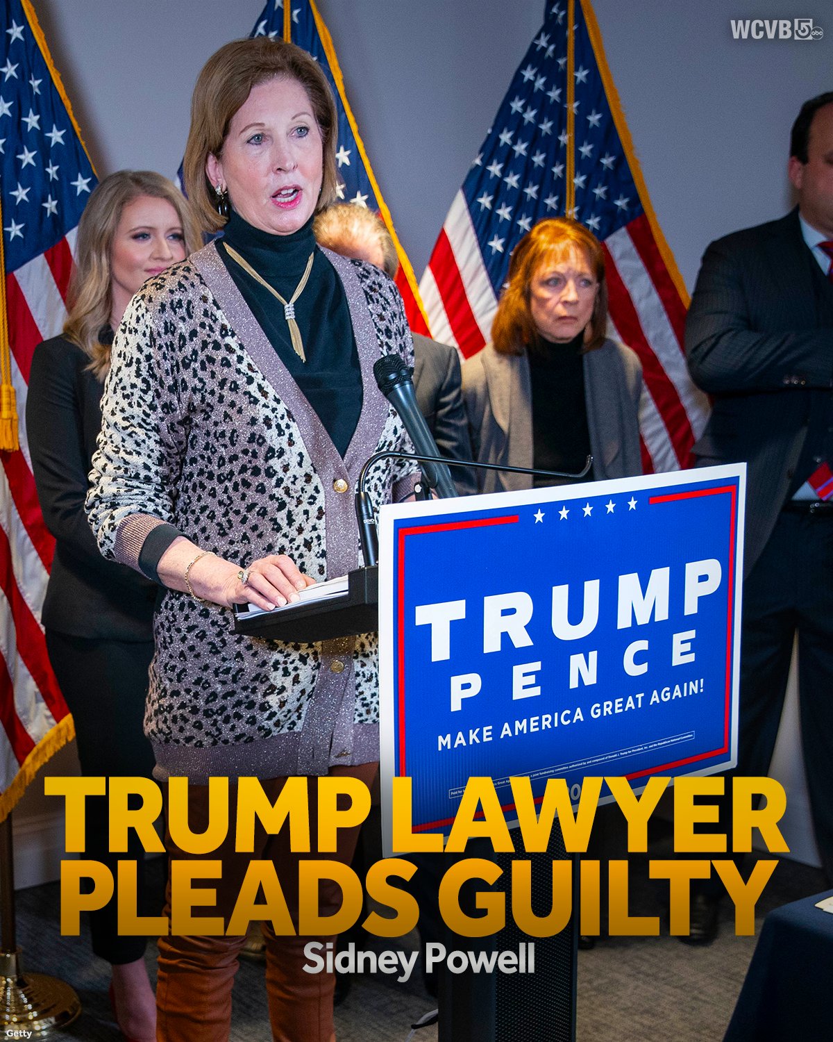 Sidney on sale powell lawyer