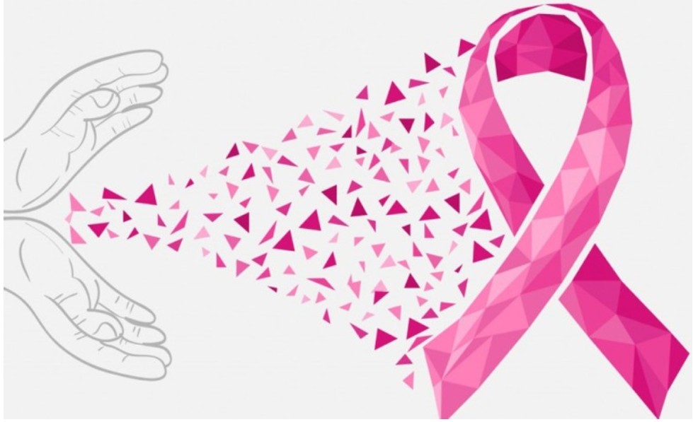 Porqué sois un ejemplo de fuerza, lucha y coraje.

Con todo nuestro cariño a todas esas mujeres que luchan cada día.

#DiaMundialContraElCancerDeMama  #EstePartidoLoJugamosJuntas #CDTozuga