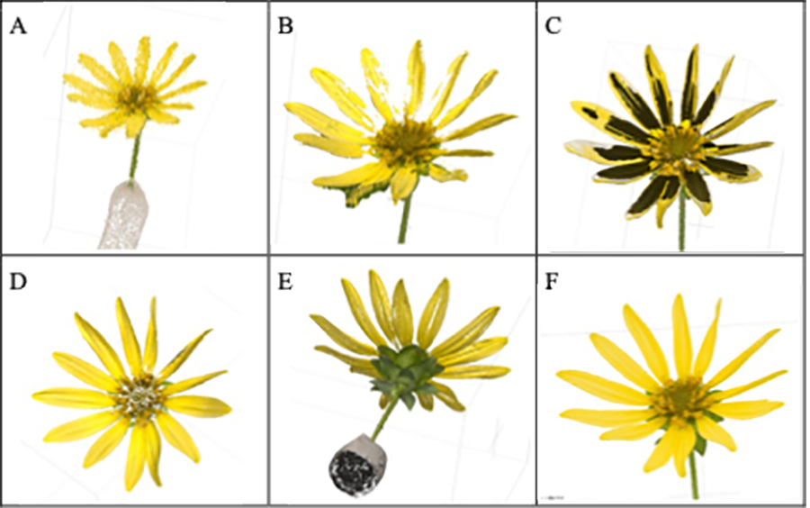 Botanical Society of America tweet media
