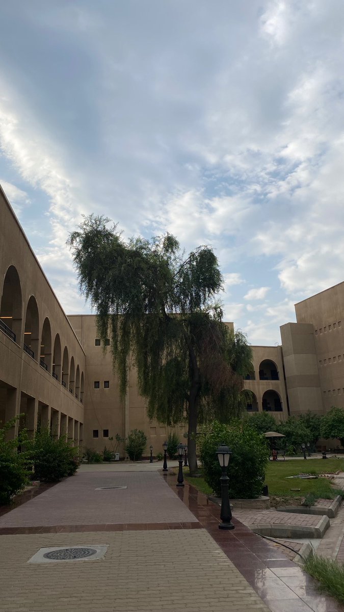 ☁️🩵
#العلوم_الاجتماعية