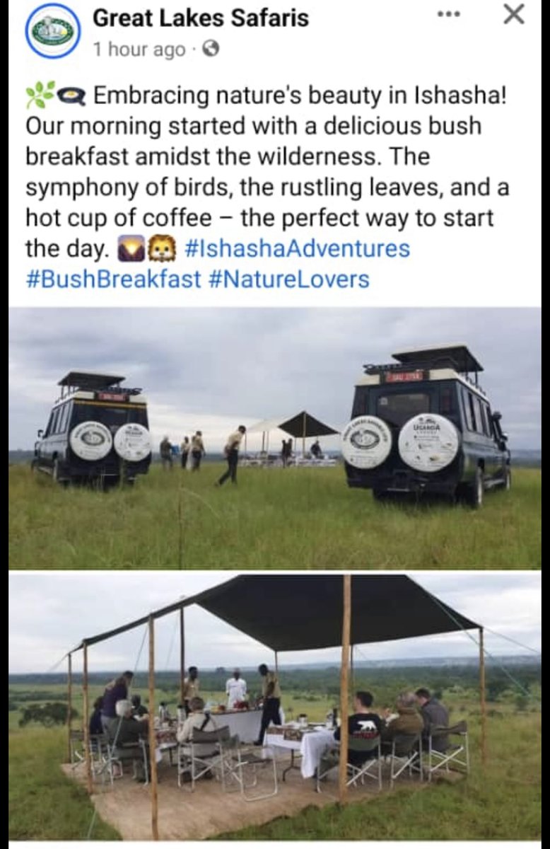 wekesa_amos's tweet photo. Today in ishasha, Queen Elizabeth national park https://t.co/Yg05IXJIbu
