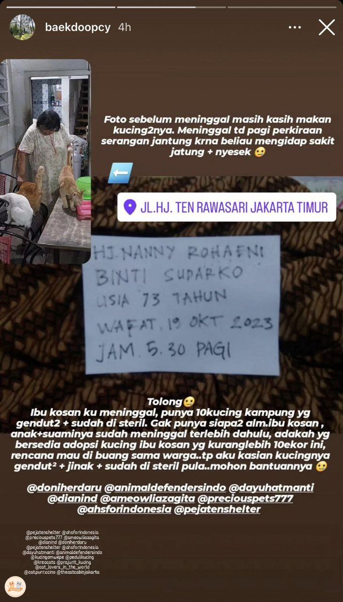 Bantu RT dan Like nya ya kak buat kcg! Nya.. Atau ada yg mau adopt juga bolehhh... Makasihh