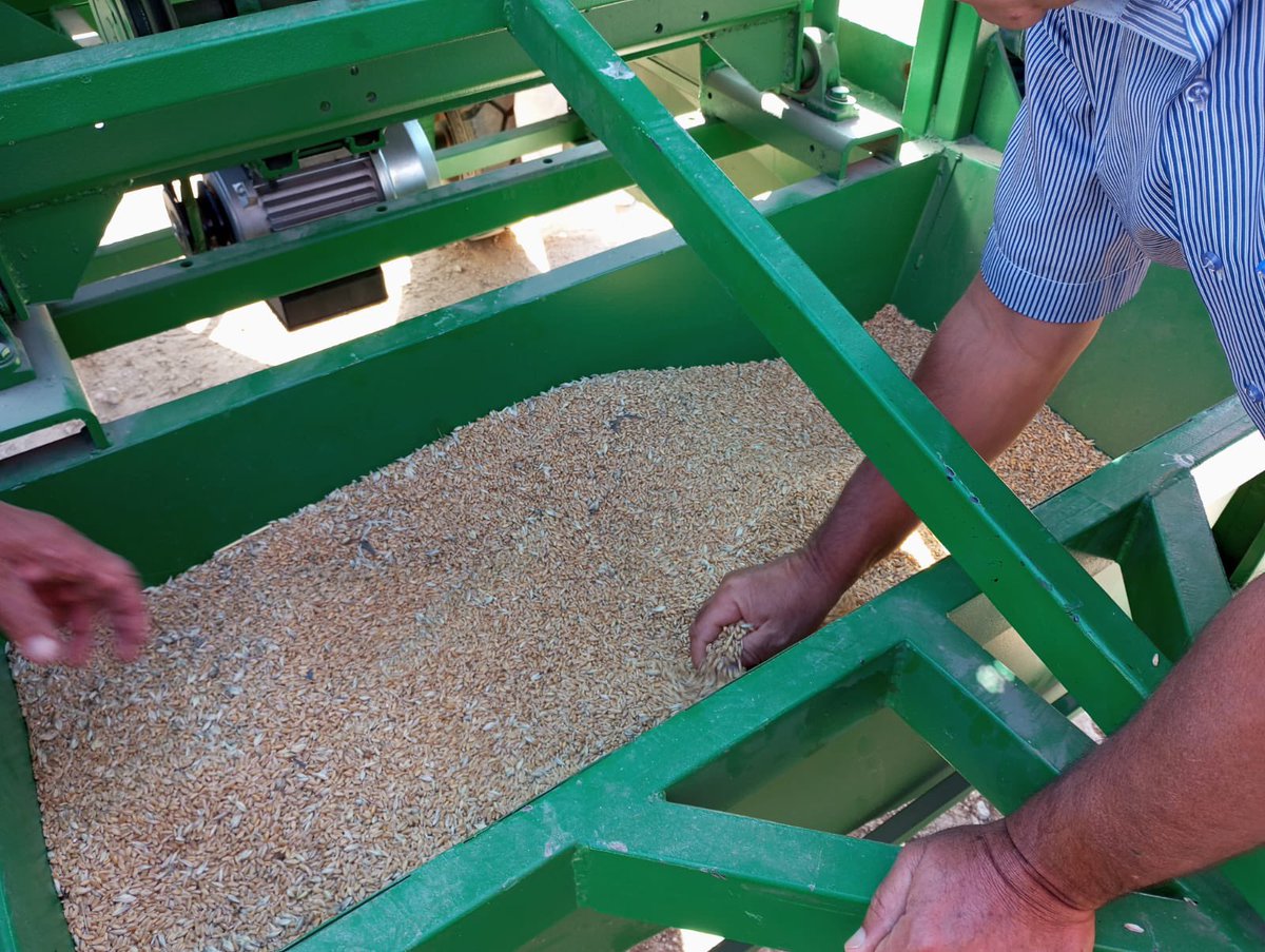 MountainHer's tweet photo. Training on #seedmultiplication cleaning and treatment of 50 participants #farmers and #policymakers in #INRATKefStation. 
The training is based on the start-up of the #SeedTreatmentMachine which is manufactured locally by the company #AymenArfaoui @PrimaProgram https://t.co/GUqrPDolOn