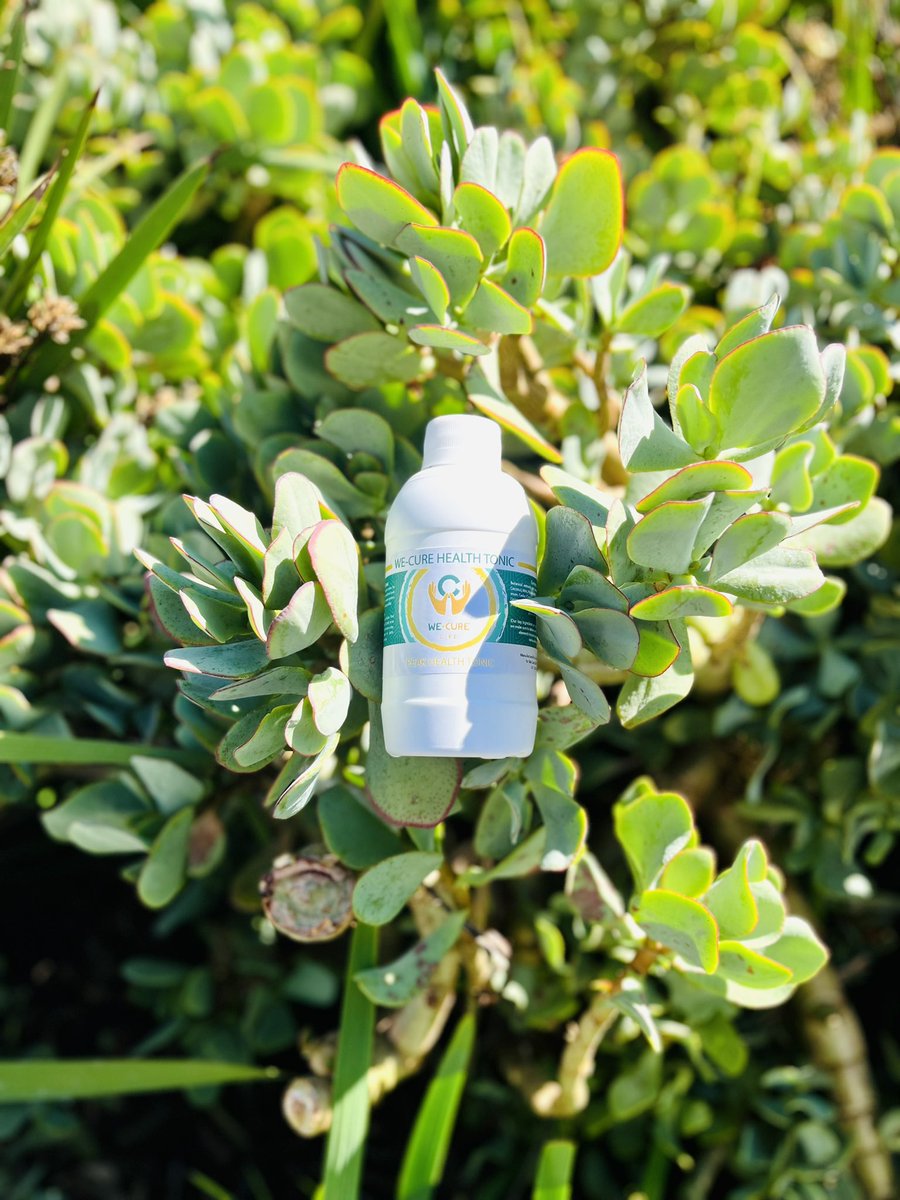 wecurelife's tweet photo. Experience Accelerated Healing And Revitalized Energy With We-Cure Health Tonic. https://t.co/SiIa4VGpld