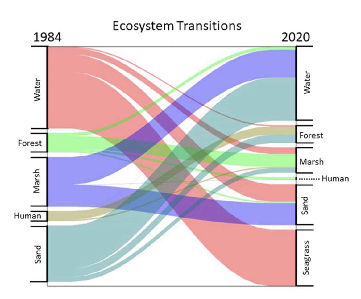 Our recent analysis of land cover change revealed that nearly 200 Gg of carbon were lost from a portion of the coast in ~40 years BUT compensatory mechanisms in the coastal landscape replaced this loss in <7 years! link.springer.com/article/10.100…