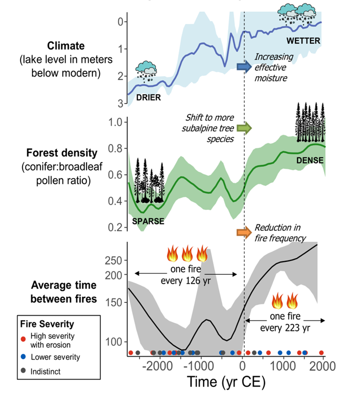 Hydroclimate driving ecosystem change: 
More subalpine tree species and reduced fire frequency in Montana as moisture availability increased since 0 CE.
Fantastic work and summary here by <a href="/Kyra_DWolf/">Kyra Clark-Wolf</a> - bit.ly/406fZQW - with lake levels from @meredith_parish!