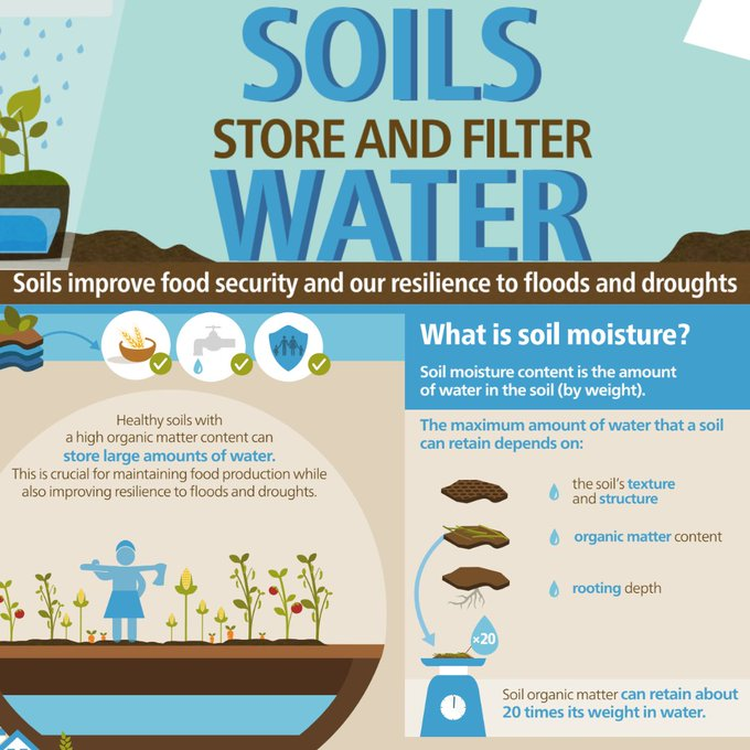 Did you know? Soil organic matter can retain about 20 times its weight in water 💧

Here’s how #HealthySoils build #ClimateResilience in El Salvador 🌱

👉: fao.org/fao-stories/ar……

Via @FAOclimate @theGCF