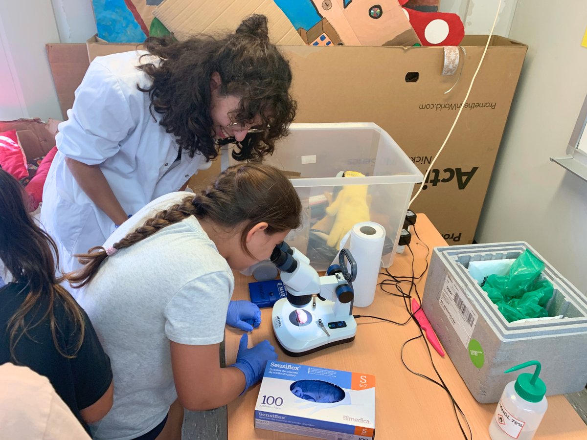 🍋 A què olora una llimona? Com arriba la informació del nas al cervell?👃➡️🧠 🏫🤔 Ahir vam respondre aquestes i altres preguntes amb l'alumnat de l'Escola #Maspujols, al Baix Camp. #Educació #STEAM #DivulgaCiencia