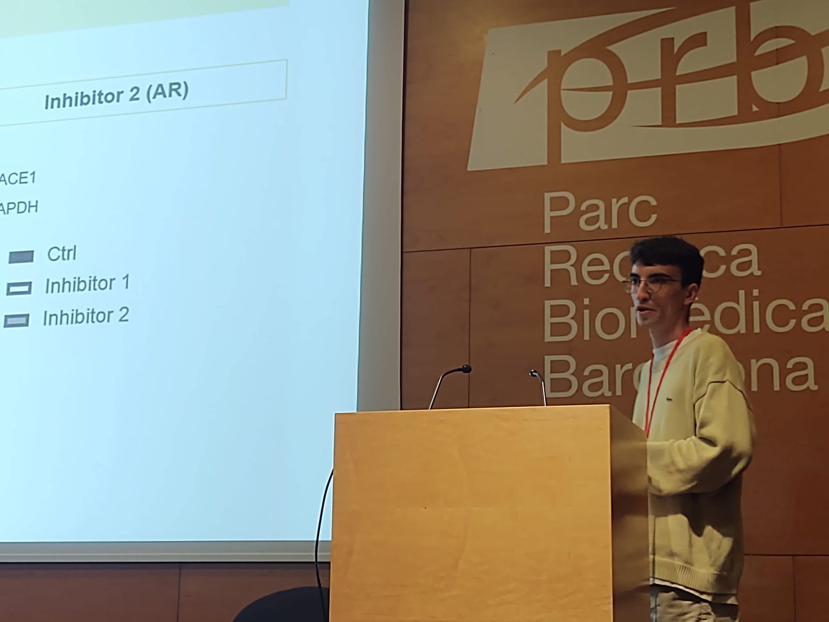 UPFbiomed's tweet image. Now, @HugoFanlo from Molecular @Physiology_Lab presents his project 'How the Alzheimer’s key peptide amyloid beta affects the synapse of neurons?' 🧠 
#MELISymposium