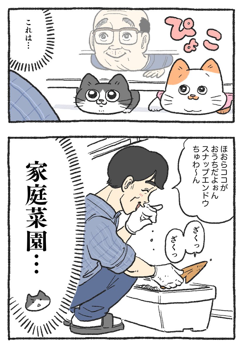ねこに転生したおじさん。その257