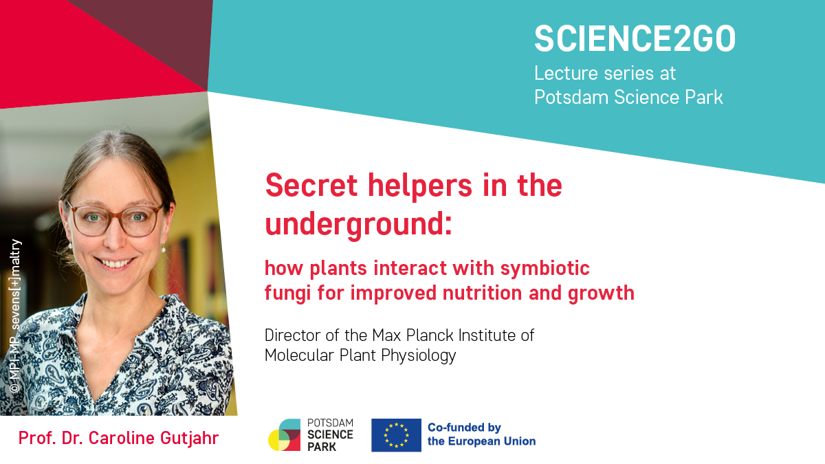 #Science2Go on Nov 2 | 12:00 | will be held by Prof. @carogutj from @MPIMP_Potsdam at our #MaxPlanck research campus!  

🌱Register now:  
p-sp.link/science2go-202…

#plantinteraction #symbioticfungi #nutrition #growth #plantresearch #openlecture #lunchtime