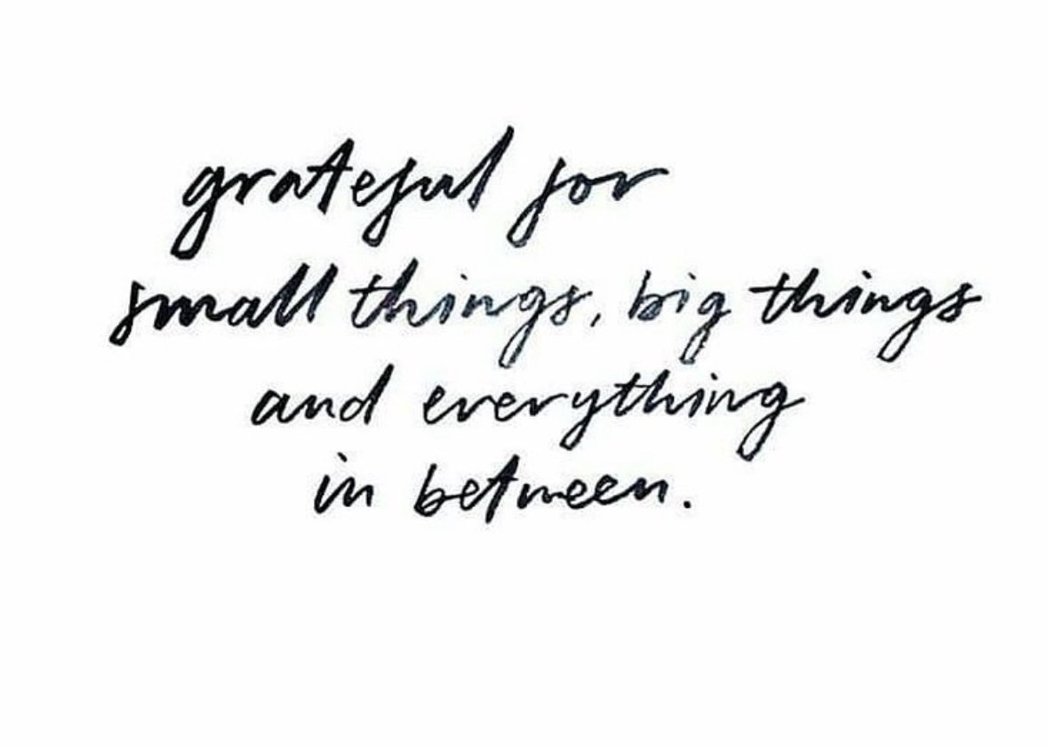 @MsKing2U_RP @InludereAvem @_ScarlettHeart @DitaVonChaos @Sweet_AnnabelRP @IntricateBloom @HisKandee #ThankfulThursday Your vibe attracts your tribe. Love Lara 🩵🩷