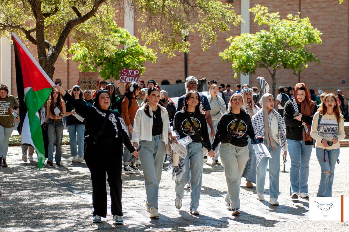 The Shorthorn tweet media