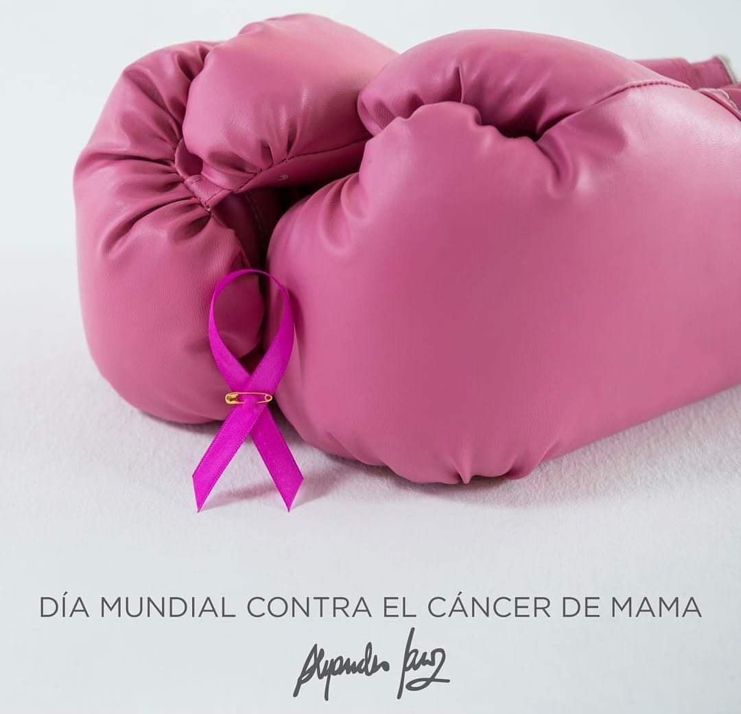 Juntos, podemos impulsar nuevos descubrimientos, tratamientos innovadores y salud de más calidad.
Sigamos investigando y fomentando prevención🩷💪🏼
<a href="/AlejandroSanz/">Alejandro Sanz</a> 
<a href="/LFdCesmas/">LaFuerzadelCorazón</a> 
<a href="/ContraCancerEs/">Asociación Española Contra el Cáncer</a> 
#MásInvestigaciónParaMásVida
#DíaInternacionalDelCáncerDeMama 
➡️n9.cl/i3pgj
