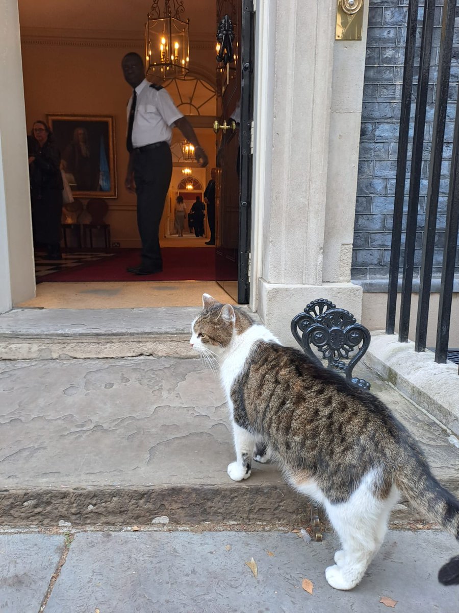 bradfordmdc's tweet photo. Chloe @healthymindsbdc project worker & apprentice Ellie visited 10 Downing Street last week for a Youth Networking Event
@AllStarEnts apprentices have worked with our @BradfordMuseums on the new #CartwrightHall 'Calm' gallery
They also met #LarryTheCat
https://t.co/6ohQf5dM7i https://t.co/Er9Q8MTDJL