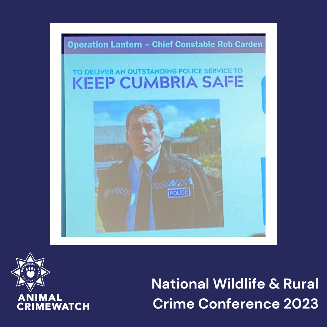 We're on day two of the National Wildlife & Rural Crime Conference where we've just watched an outstanding presentation from @Cumbriapolice Report an #AnimalCrime, here: leagueacs.co.uk/ntJAN #AnimalCrimewatch