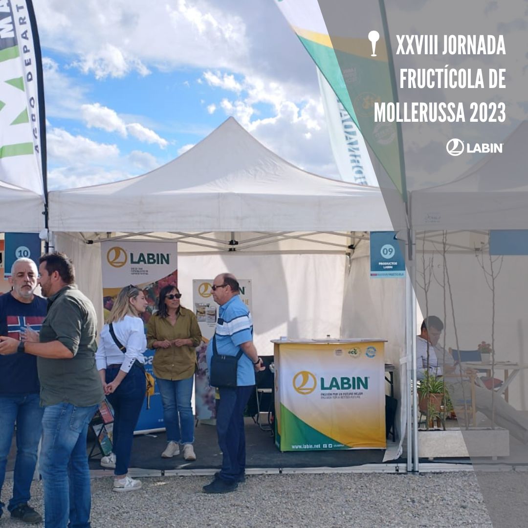 📍 Ja estem a Mollerussa, a la XXVIII Jornada Fructícola. Si encara no heu passat, us esperem al nostre stand! 😉

#labin #jornadafructícolamollerussa