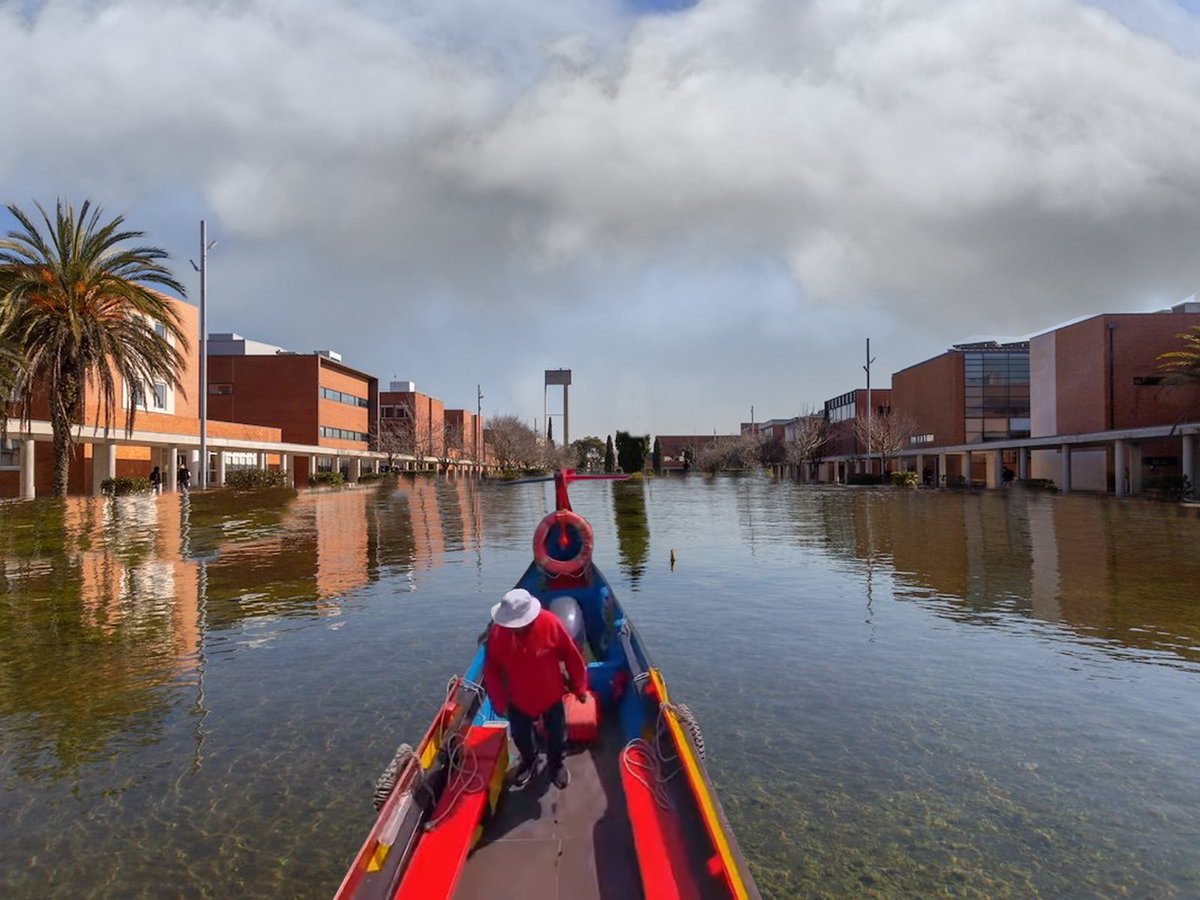 Entrou hoje em circulação o moliceiro estação - ua.