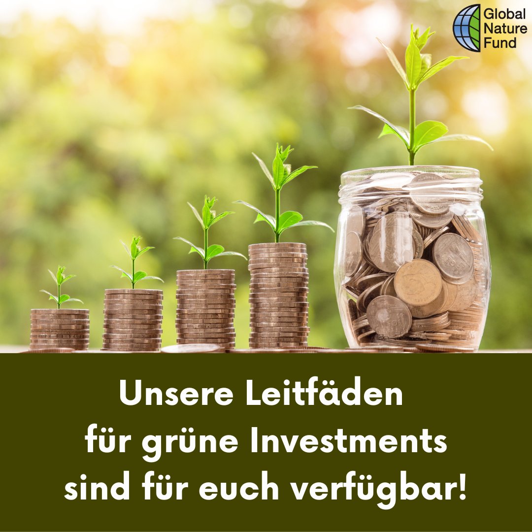 Gemeinsam mit OroVerde haben wir einen Leitfaden für Investments im Bereich Wald- und Biodiversitätsschutz erarbeitet!
Ihr findet ihn hier zum Download:
globalnature.org/de/investments…

#grüneinvestments #waldschutz