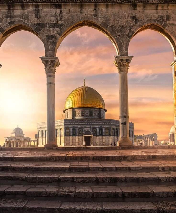 🇵🇸🇵🇸🇵🇸