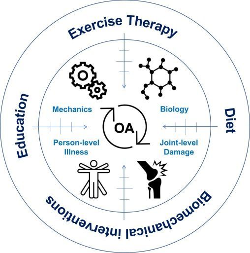 OACJournal's tweet photo. Osteoarthritis involves the interplay between mechanical and biological processes that are included in a perpetuating cycle of joint-level damage and person-level illness. 

Read more in the Fundamentals of OA paper in the October issue of OAC ⤵️
https://t.co/QfVWJReyaa https://t.co/UsK7U1JvWO