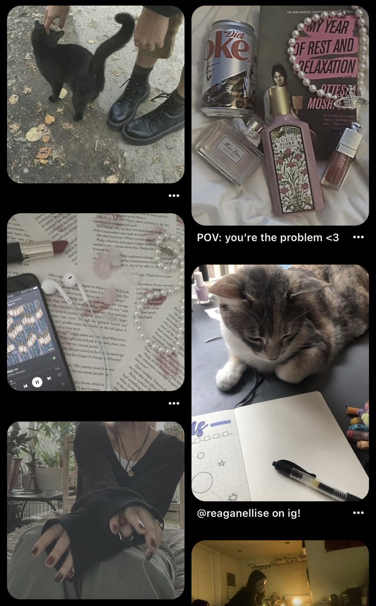 sunalitos's tweet image. coloque "me core" no pinterest e veja oq aparece

parece um tico cmg