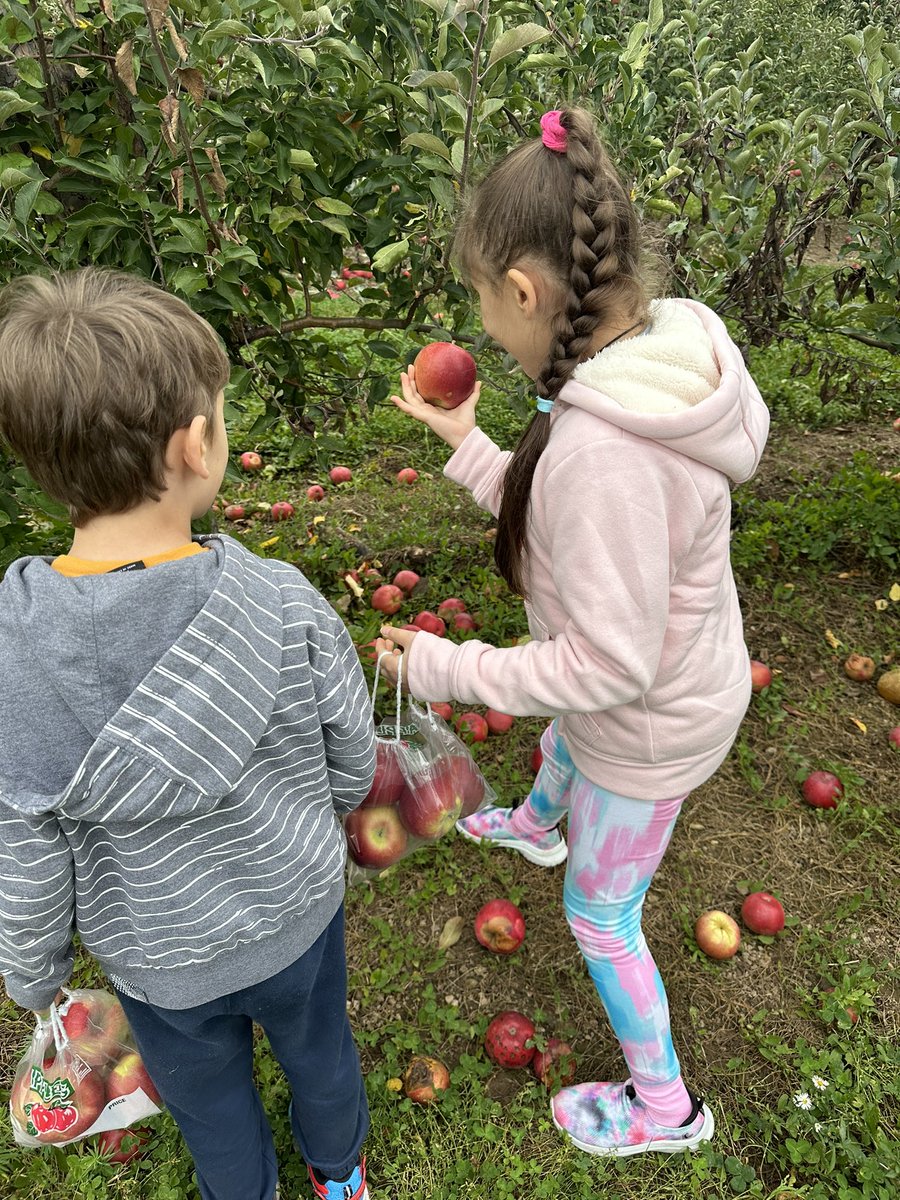 One of my favorite experiences with ELLs - going to the farm for the first time! Such a great field trip with our friends from <a href="/HeritageStrong/">Heritage Heights</a> and <a href="/WillowRidge480/">Willow Ridge ES</a> 💙💛🍎