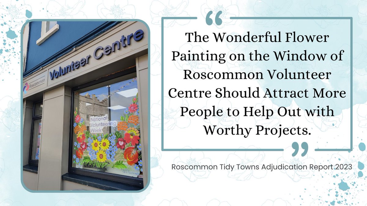 Roscommon Volunteer Centre are delighted to have been mentioned in the Roscommon Tidy Towns Adjudication Report. The beautiful floral artwork of Olena Kovalevych has indeed attracted much attention and has added a more inviting feel to the town centre.